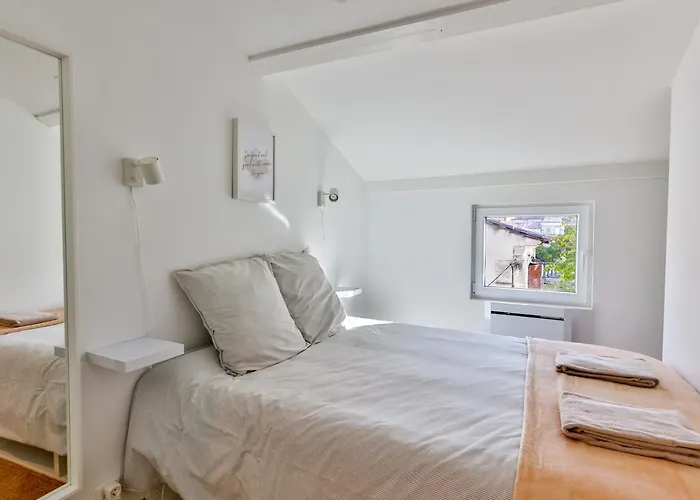 Le Mimosa #netflix #centre-ville *